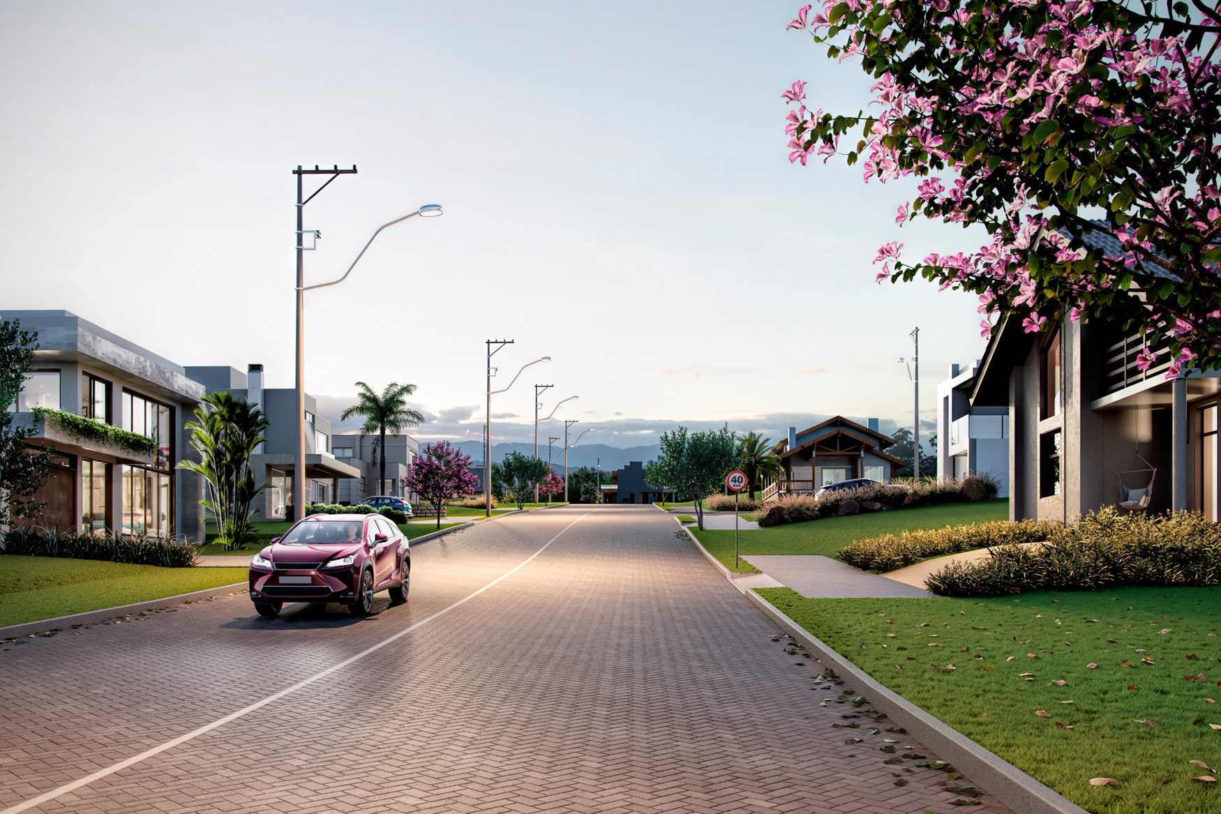 Rua pavimentada do bairro com casas, iluminação e árvores floridas