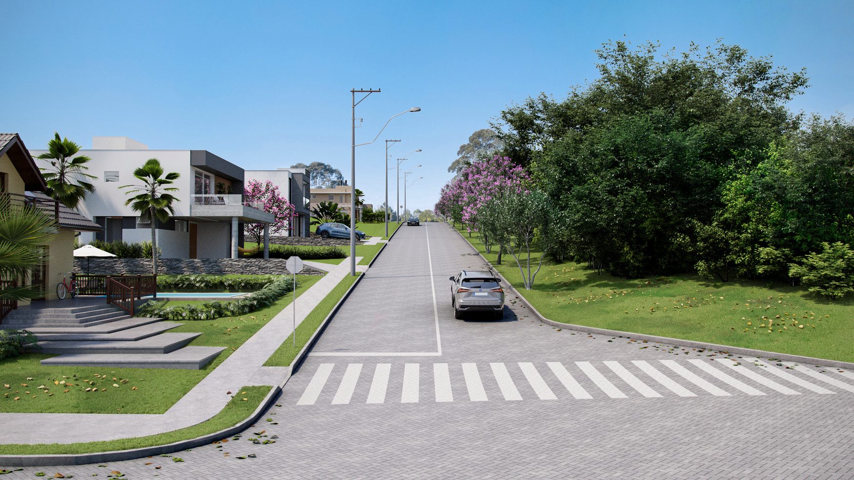 Rua com casas modernas, faixa de pedestres e árvores floridas